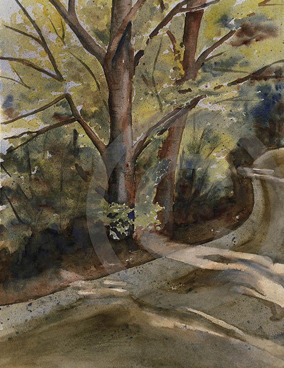 Tree-Lined Path; Morning in the Forest; Forest Path in Morning Light; Quiet Forest Trail; Watercolor Trail